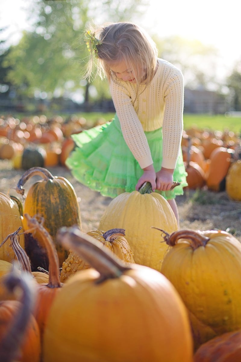 Pumpkin Planters
