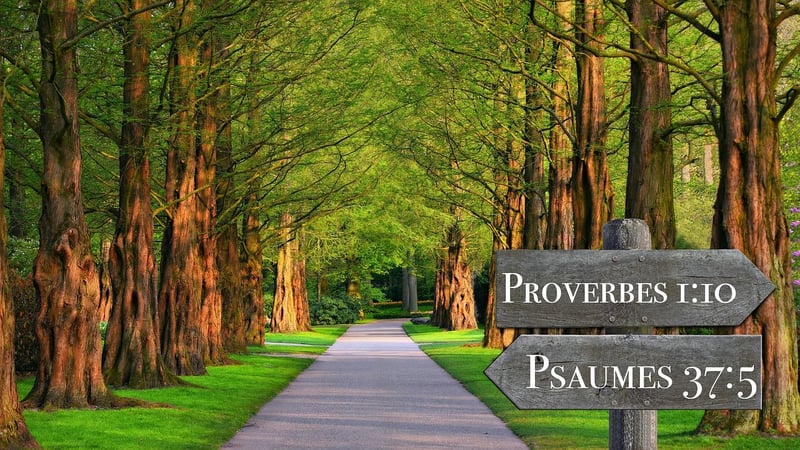 Custom Quote Art